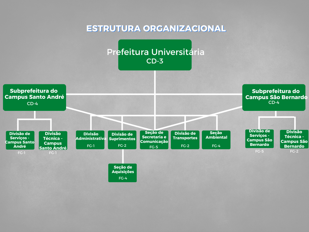 grafico organizacional pu